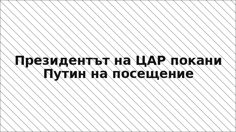 Президентът на ЦАР покани Путин на посещение