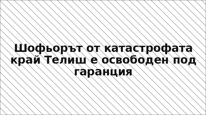 Шофьорът от катастрофата край Телиш е освободен под гаранция