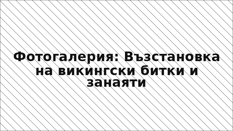 Фотогалерия: Възстановка на викингски битки и занаяти