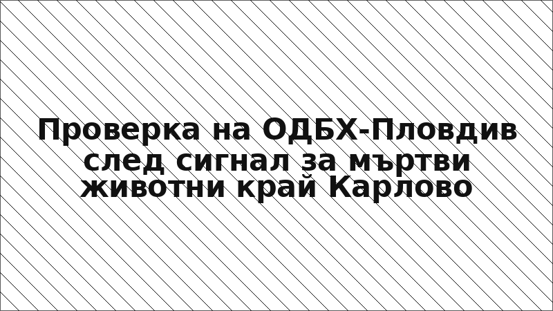 Проверка на ОДБХ-Пловдив след сигнал за мъртви животни край Карлово