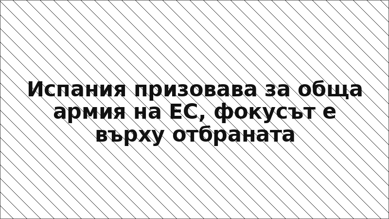 Испания призовава за обща армия на ЕС, фокусът е върху отбраната