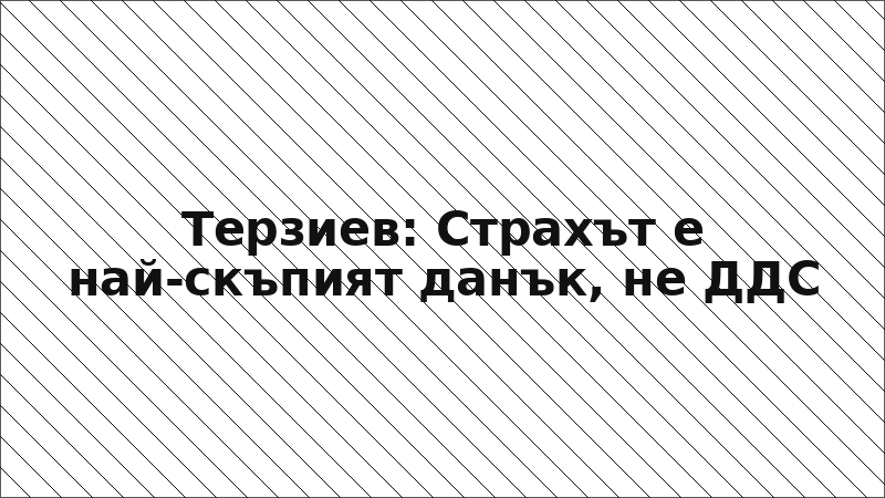 Терзиев: Страхът е най-скъпият данък, не ДДС