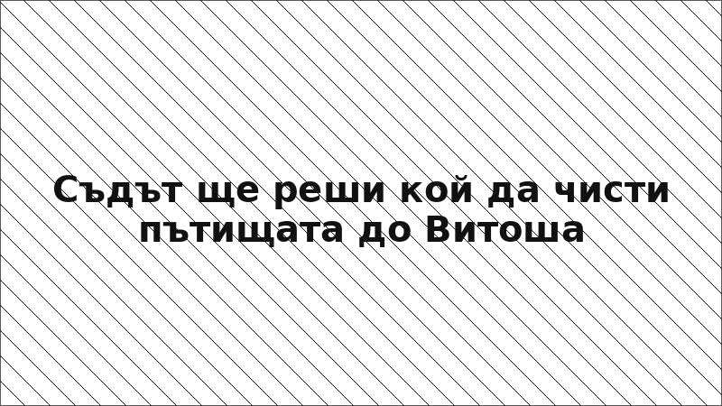 Съдът ще реши кой да чисти пътищата до Витоша