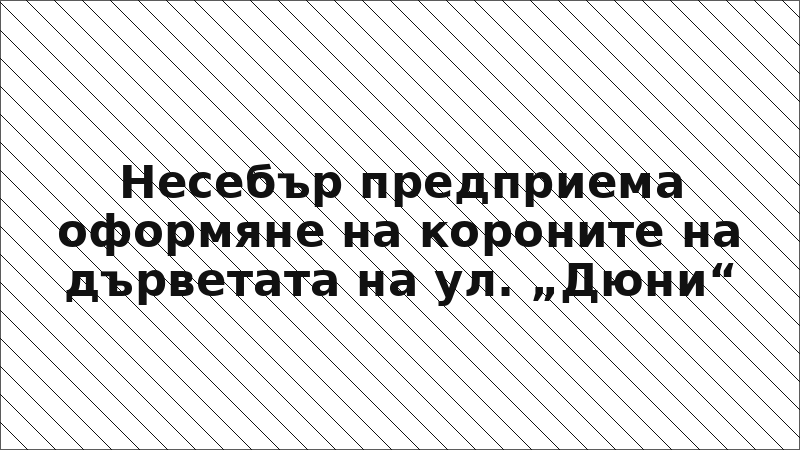 Несебър предприема оформяне на короните на дърветата на ул. „Дюни“