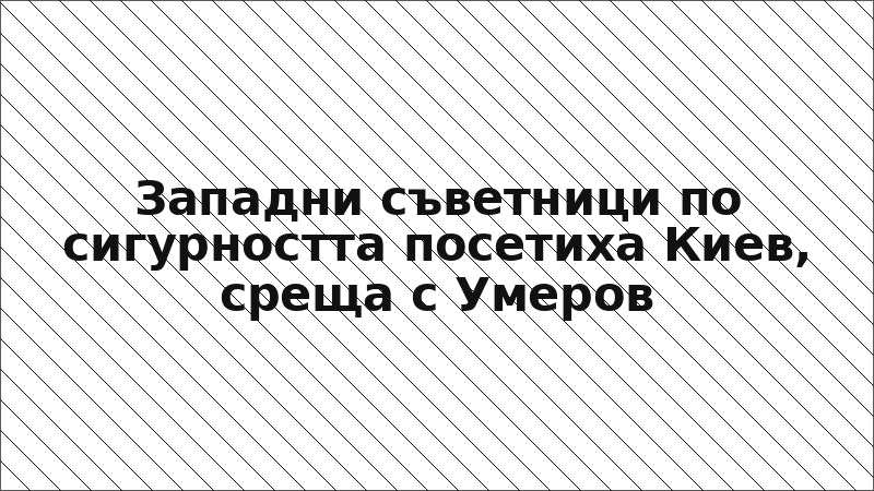 Западни съветници по сигурността посетиха Киев, среща с Умеров