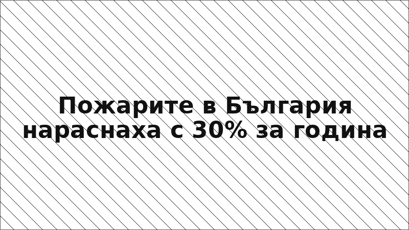 Пожарите в България нараснаха с 30% за година