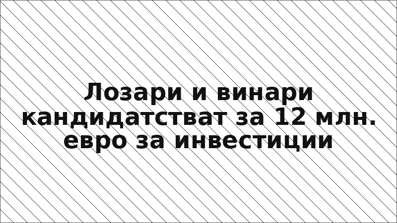 Лозари и винари кандидатстват за 12 млн. евро за инвестиции
