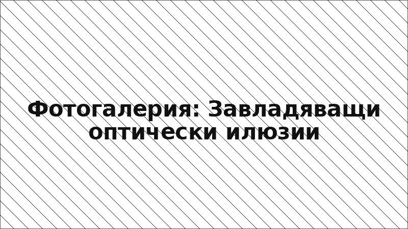 Фотогалерия: Завладяващи оптически илюзии