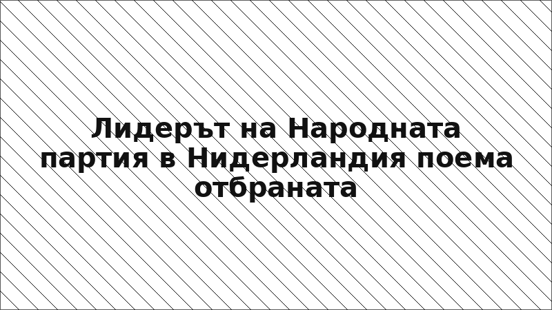 Лидерът на Народната партия в Нидерландия поема отбраната