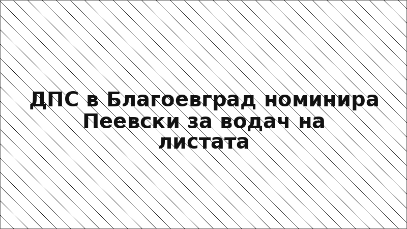 ДПС в Благоевград номинира Пеевски за водач на листата