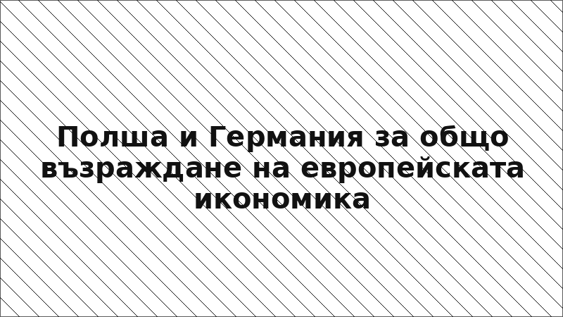 Полша и Германия за общо възраждане на европейската икономика