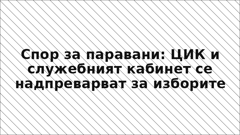Спор за паравани: ЦИК и служебният кабинет се надпреварват за изборите