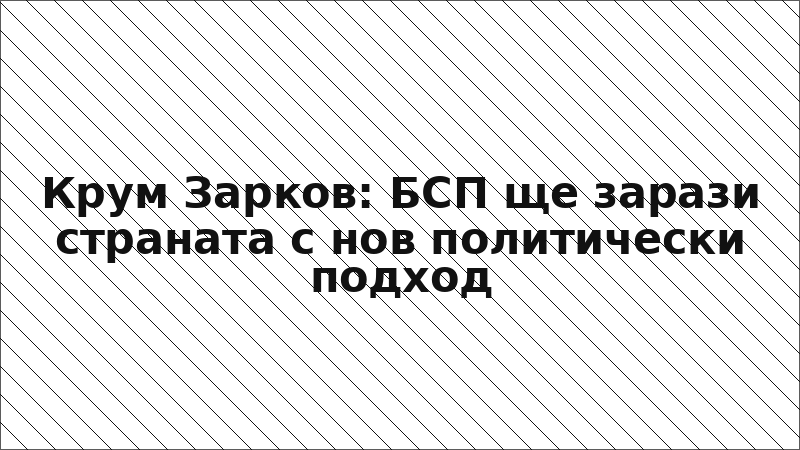 Крум Зарков: БСП ще зарази страната с нов политически подход