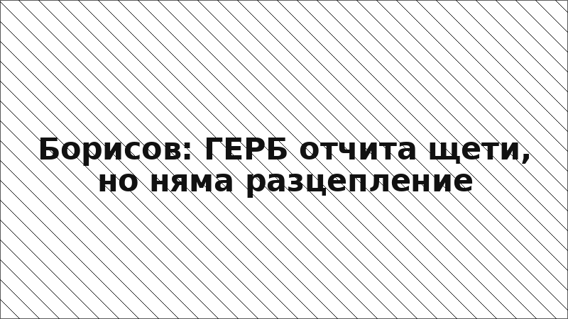 Борисов: ГЕРБ отчита щети, но няма разцепление