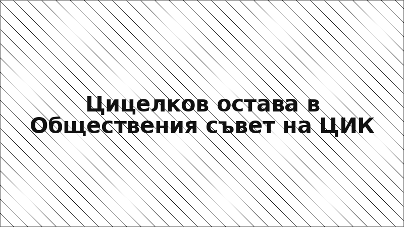 Цицелков остава в Обществения съвет на ЦИК