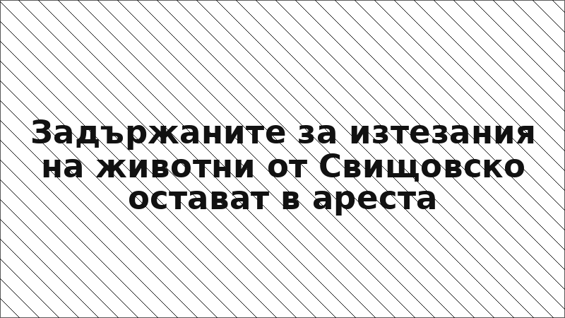 Задържаните за изтезания на животни от Свищовско остават в ареста