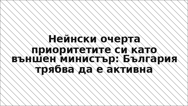 Нейнски очерта приоритетите си като външен министър: България трябва да е активна