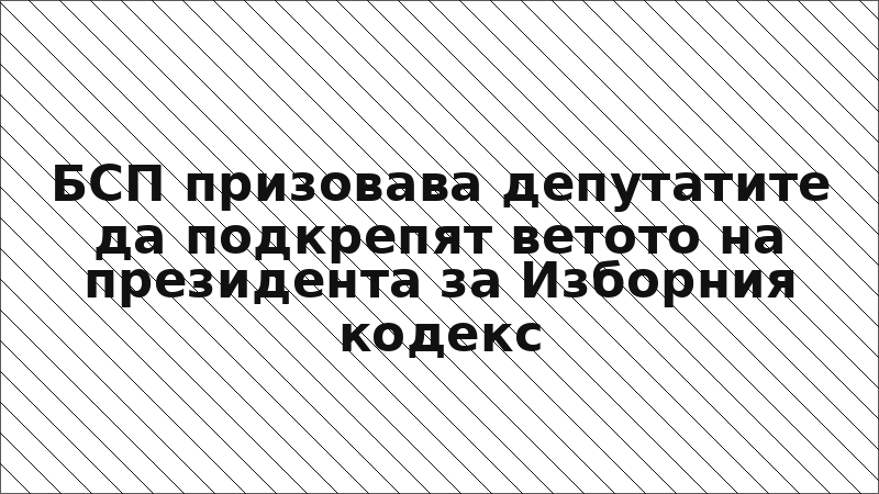 БСП призовава депутатите да подкрепят ветото на президента за Изборния кодекс