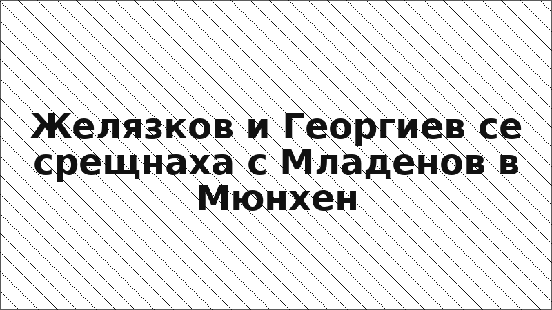 Желязков и Георгиев се срещнаха с Младенов в Мюнхен