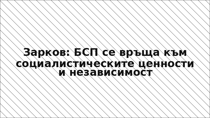 Зарков: БСП се връща към социалистическите ценности и независимост