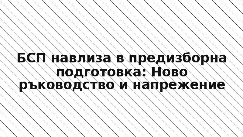 БСП навлиза в предизборна подготовка: Ново ръководство и напрежение