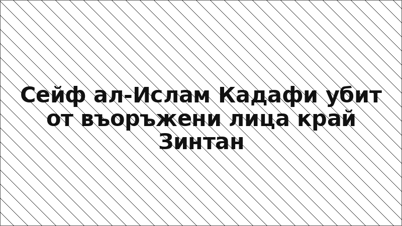 Сейф ал-Ислам Кадафи убит от въоръжени лица край Зинтан