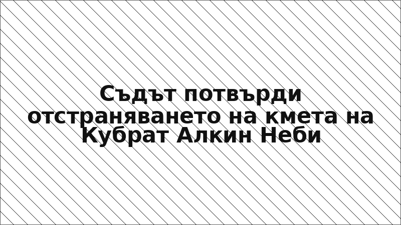Съдът потвърди отстраняването на кмета на Кубрат Алкин Неби