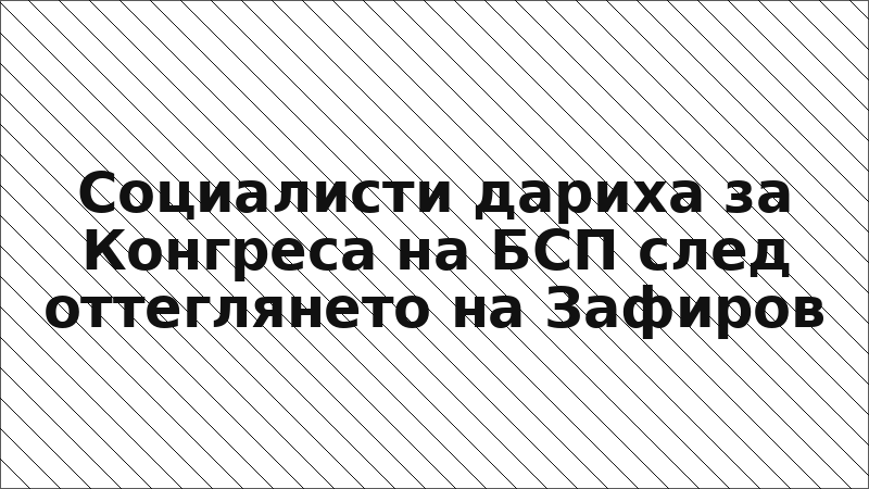 Социалисти дариха за Конгреса на БСП след оттеглянето на Зафиров