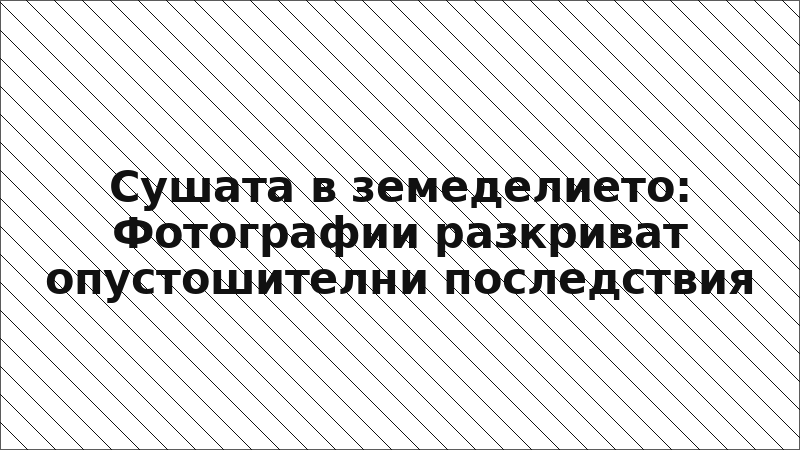 Сушата в земеделието: Фотографии разкриват опустошителни последствия