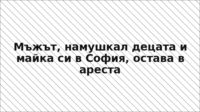 Мъжът, намушкал децата и майка си в София, остава в ареста