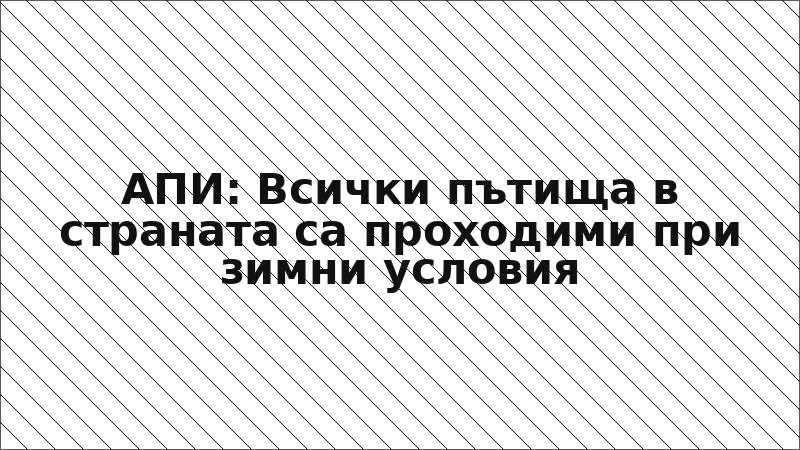 АПИ: Всички пътища в страната са проходими при зимни условия