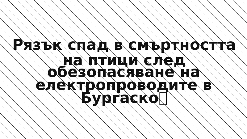 Рязък спад в смъртността на птици след обезопасяване на електропроводите в Бургаско