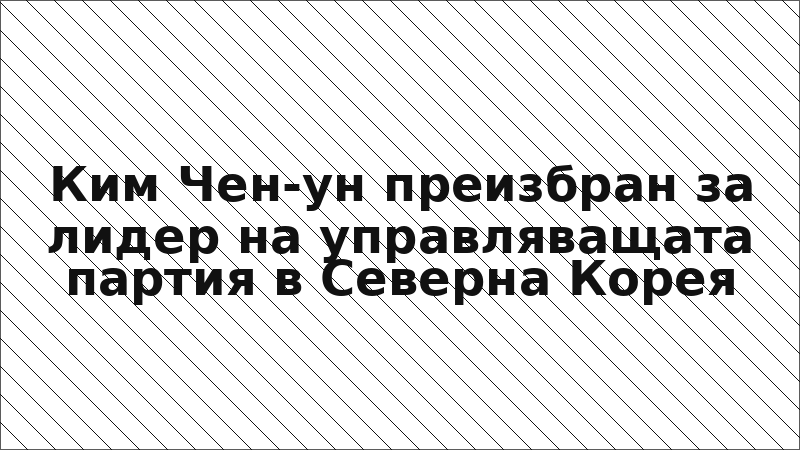 Ким Чен-ун преизбран за лидер на управляващата партия в Северна Корея