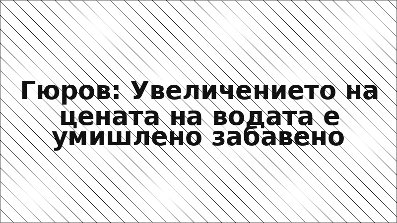 Гюров: Увеличението на цената на водата е умишлено забавено