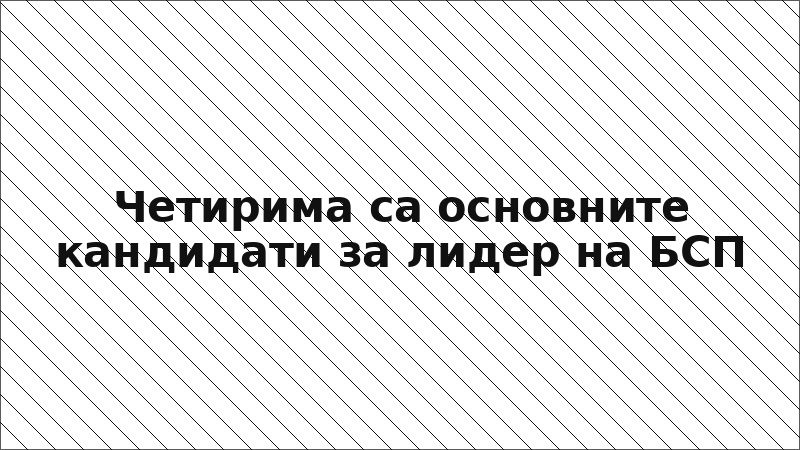 Четирима са основните кандидати за лидер на БСП