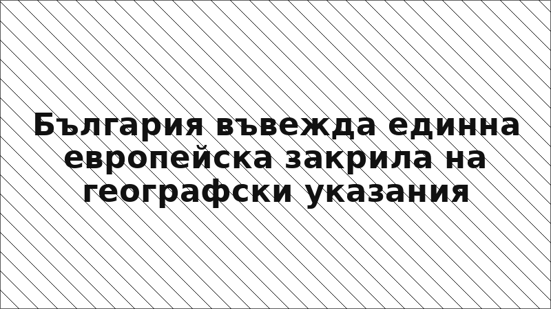 България въвежда единна европейска закрила на географски указания