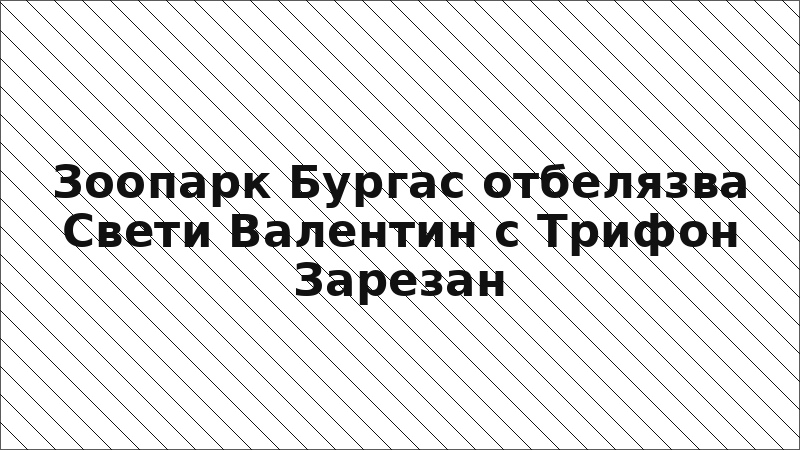 Зоопарк Бургас отбелязва Свети Валентин с Трифон Зарезан