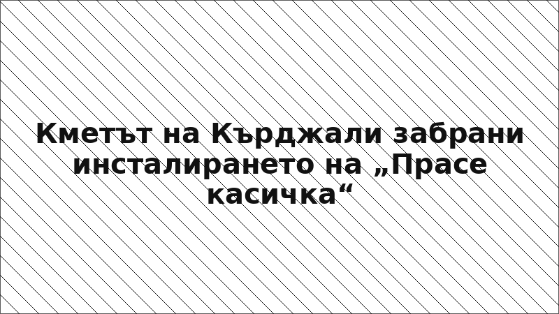 Кметът на Кърджали забрани инсталирането на „Прасе касичка“