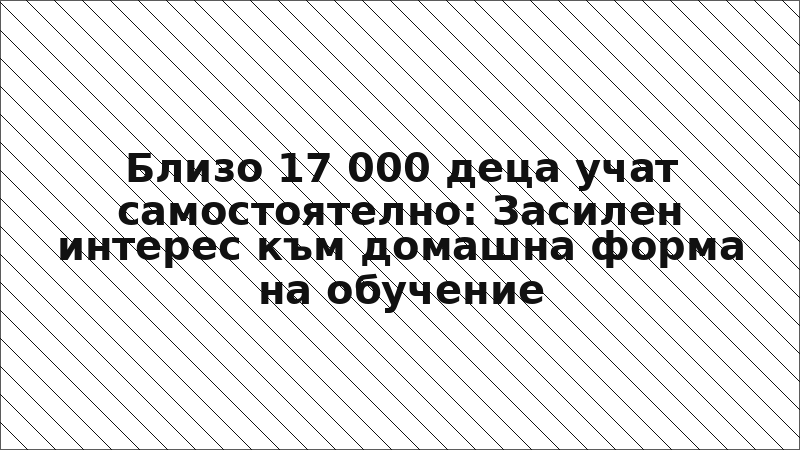 Близо 17 000 деца учат самостоятелно: Засилен интерес към домашна форма на обучение