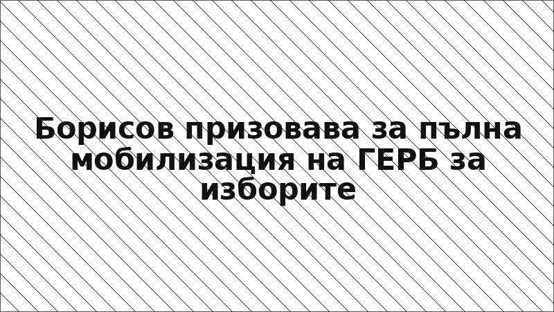 Борисов призовава за пълна мобилизация на ГЕРБ за изборите