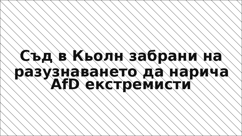Съд в Кьолн забрани на разузнаването да нарича AfD екстремисти