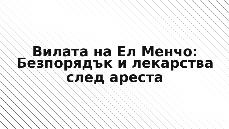 Вилата на Ел Менчо: Безпорядък и лекарства след ареста