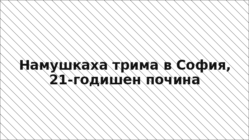 Намушкаха трима в София, 21-годишен почина