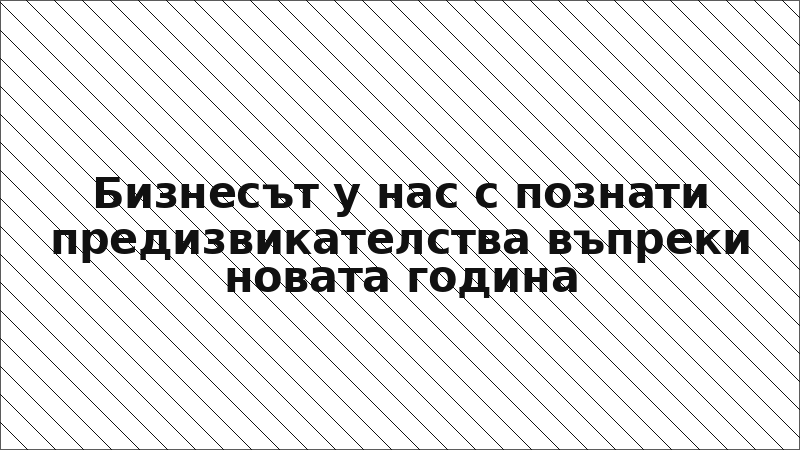 Бизнесът у нас с познати предизвикателства въпреки новата година