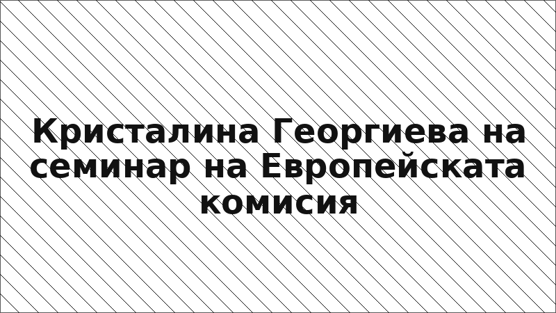 Кристалина Георгиева на семинар на Европейската комисия