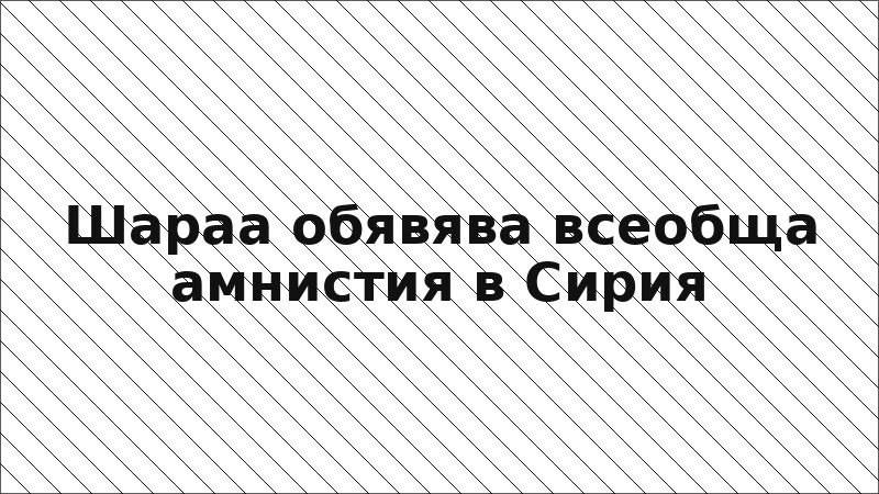 Шараа обявява всеобща амнистия в Сирия