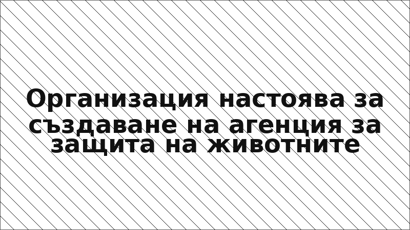 Организация настоява за създаване на агенция за защита на животните