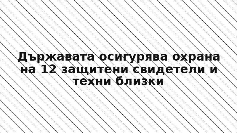 Държавата осигурява охрана на 12 защитени свидетели и техни близки