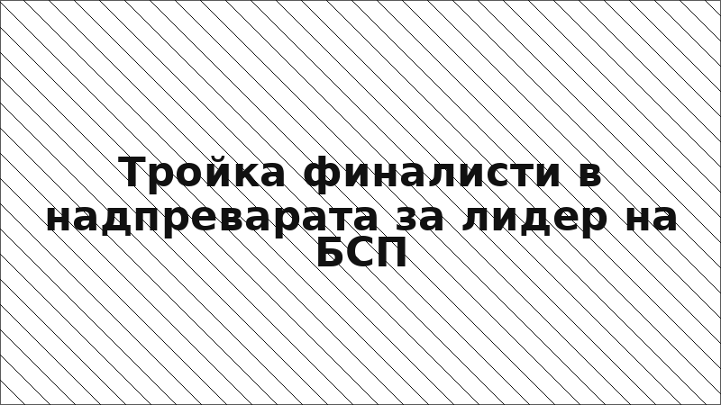 Тройка финалисти в надпреварата за лидер на БСП