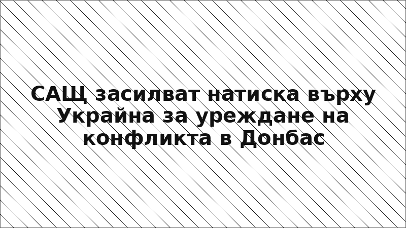 САЩ засилват натиска върху Украйна за уреждане на конфликта в Донбас